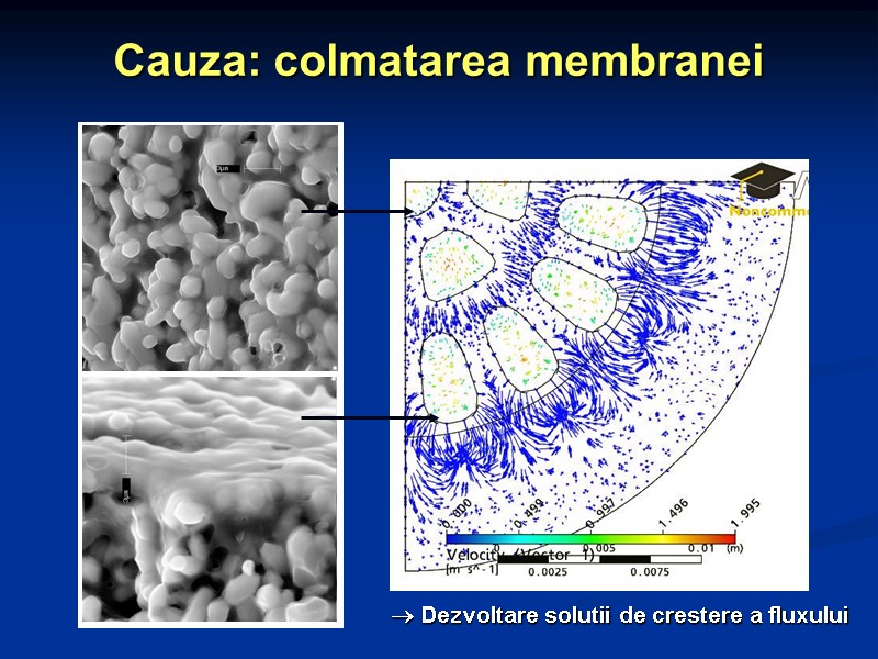 Cauza: colmatarea membranei   Dezvoltare solutii de crestere a fluxului